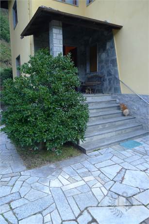 Ingresso