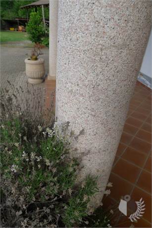 Dettagli